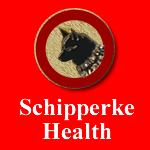 health health