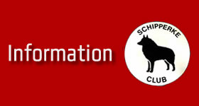 infomation
