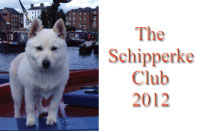 Schipperke Calendar Front Page 2012