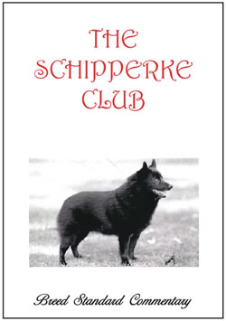 Schipperke breed standard commentary Schipperke breed standard commentary