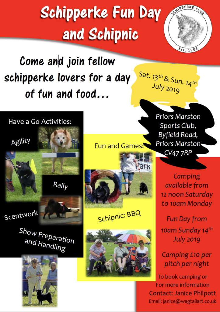 Schipperke Fun Day and Schipnic