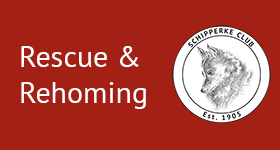 Advanced notice from Schipperke Rescue.