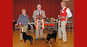 Results : Schipperke Club Open Show